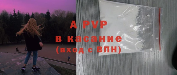 индика Майский