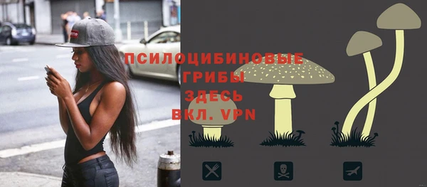соль ск Абинск