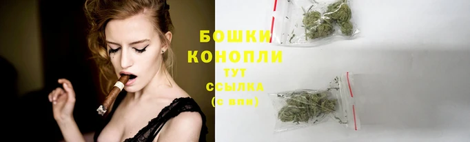 PSILOCYBIN Магас